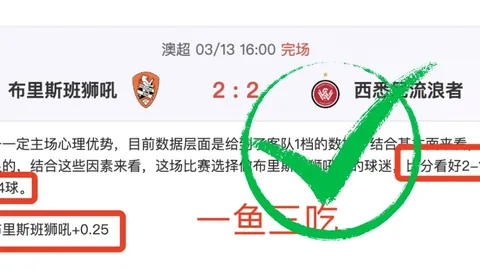 188bet金宝博体育